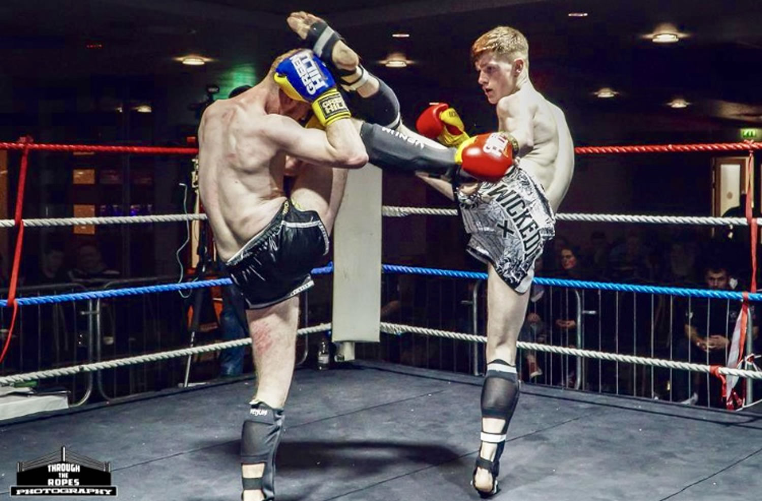 International Kickboxing Federation (IKF) Ireland 